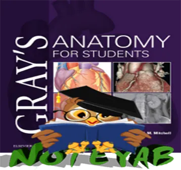 کتاب Grays Anatomy for Students 2020 4th Edition