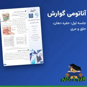 جزوه آناتومی گوارش جلسه اول: ساختار ماکروسکوپی حفره دهان، حلق و مری - دکتر هدایت پور (علوم پزشکی تهران)