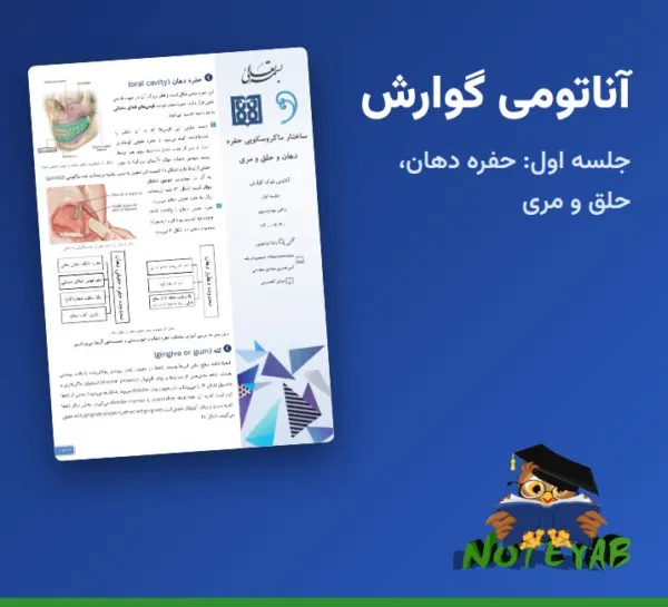 جزوه آناتومی گوارش جلسه اول: ساختار ماکروسکوپی حفره دهان، حلق و مری – دکتر هدایت پور (علوم پزشکی تهران)