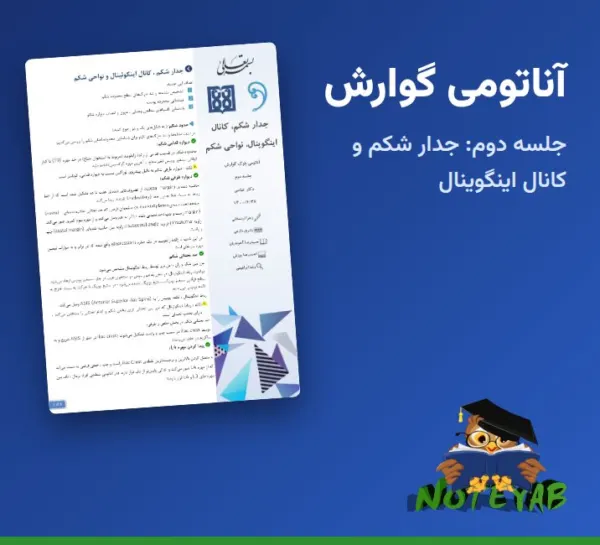 جزوه آناتومی گوارش جلسه دوم: جدار شکم، کانال اینگوینال و نواحی شکم – دکتر مهدی عباسی (علوم پزشکی تهران)