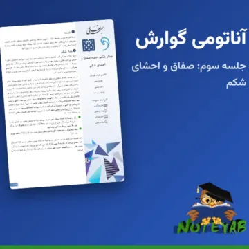 جزوه آناتومی گوارش جلسه سوم: جدار شکم، حفره صفاق و احشای شکم - دکتر مهدی عباسی (علوم پزشکی تهران)