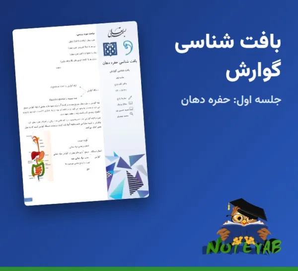 جزوه بافت شناسی گوارش جلسه اول: بافت شناسی حفره دهان – دکتر تک زارع (علوم پزشکی تهران)